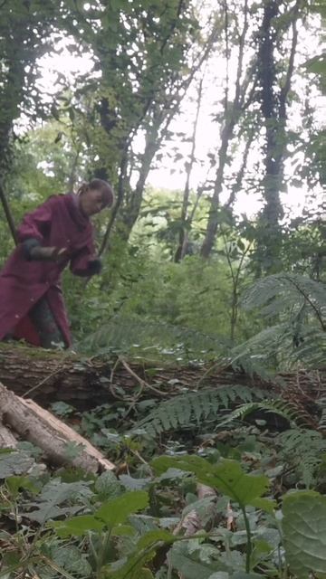 Обожаю заготавливать дровишки для костра 🔥👣
#дикая_природа #chill #гамак #звуки_природы  #живой_кост