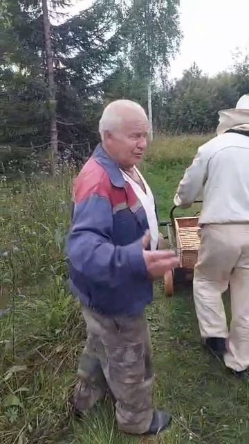 Крутой прорыв в пчеловодстве!)))