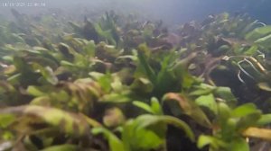 Случайно.
Увиденное.
Нечто.