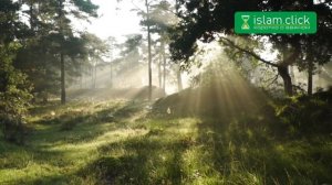 Намаз Таравих. Как его совершать? Рамадан 2023 | Абу Яхья Крымский