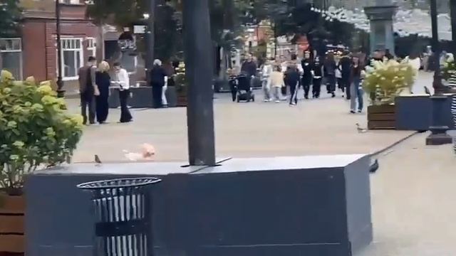 Прощаемся с Челябинском, последняя прогулка перед отъездом. смотреть онлайн