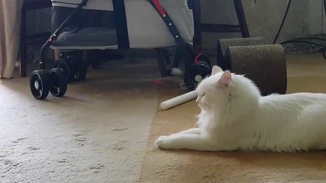 Леся и Сёма - Разминка смотреть онлайн