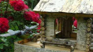 Синицы в кормушке. Пение синиц (фоном к видео)