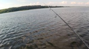 Рыбалка на отводной поводок! Монтаж и техника ловли!