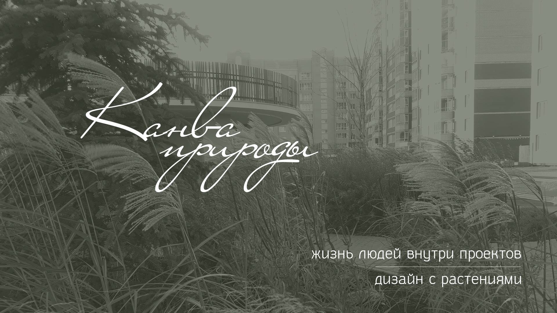 Канва природы, 2022 / Чебоксары смотреть онлайн