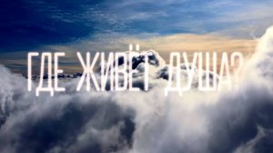 НМГ ДОК представила фильм «Где живет душа?»