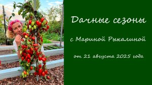 Дачные сезоны с Мариной Рыкалиной от 21 августа 2025 года