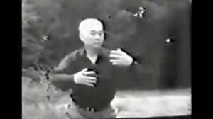 Ицюань мастер Хань Синюань ученик Ван Сянчжая