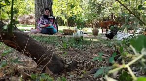 🕌 🌸🌹🌺 Деревенская жизнь в горах Ирана, вдали от цивилизации 🌸🌹🌺 🕌