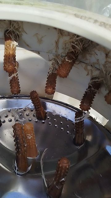 Перосъёмная машина из стиральной машины спустя 3 года полёт нормальный, как и обещал небольшой обзор