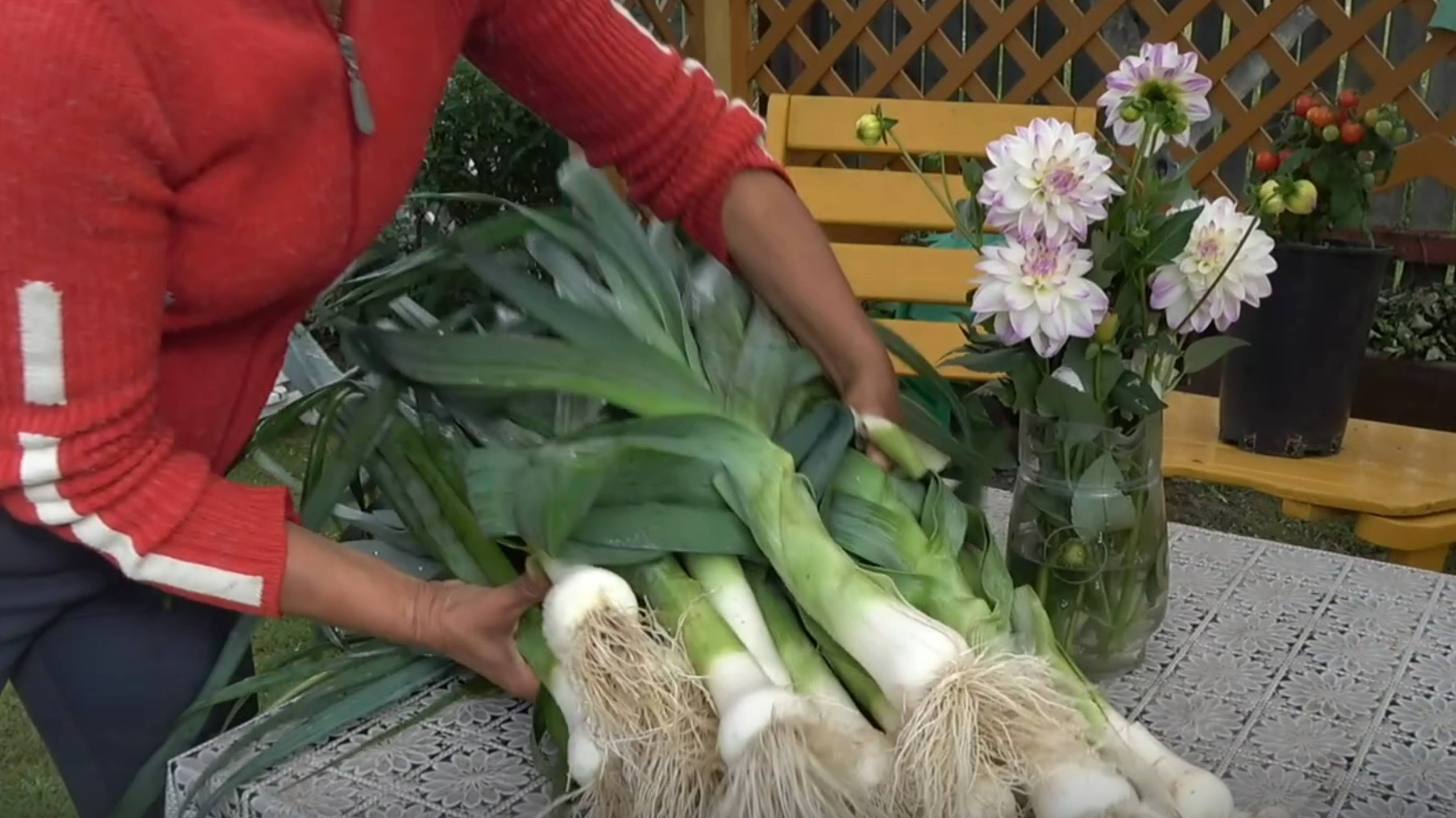 6 соток 18 августа 2025 года. 1 часть смотреть онлайн