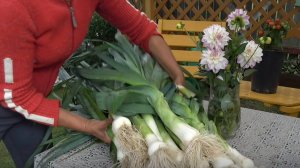 6 соток 18 августа 2025 года. 1 часть