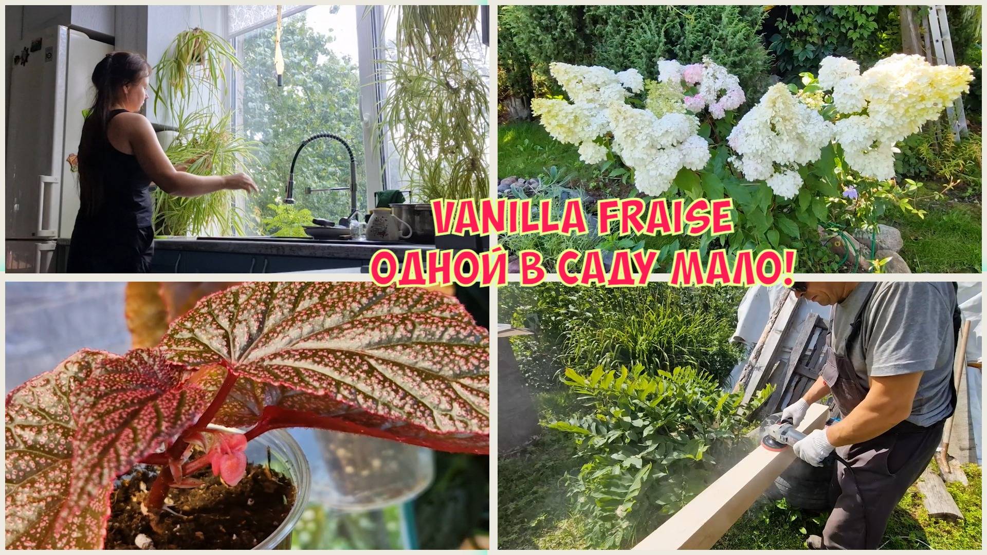 Строим веранду, столярные работы. Обкорнала огромный цветок на кухне, навела чистоту. смотреть онлайн