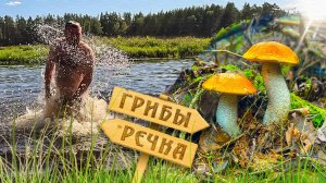 Грибы, Лес, Речка и Деревня, а много ли для счастья нужно, трудовые поиски в Тверской области.