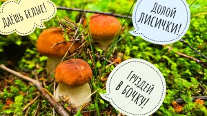 В лес за белыми грибами! Лесная АСМР прогулочка. Опять про выкручивание и срезку  грибов