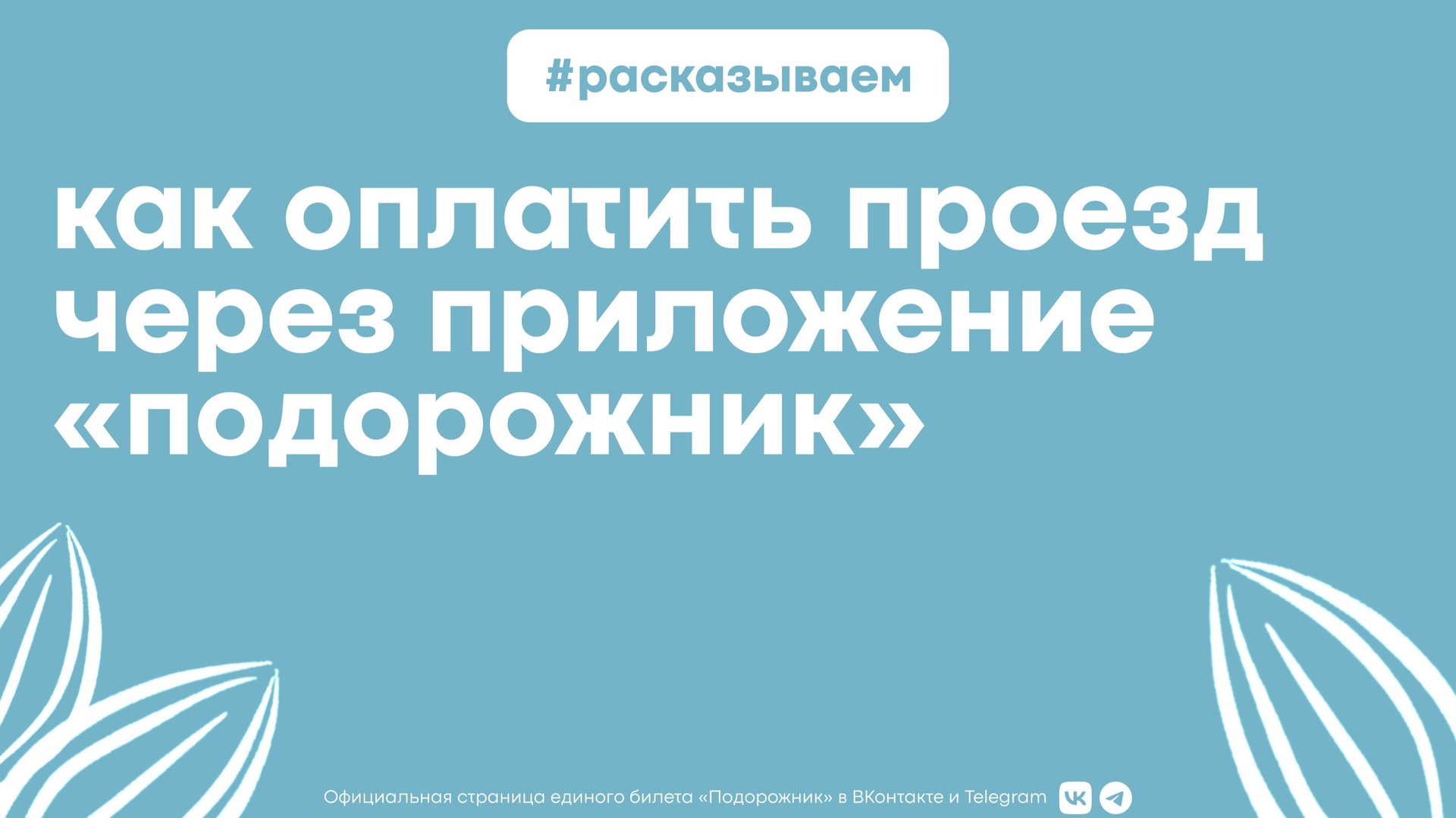 Как оплатить проезд приложением «Виртуальный подорожник» смотреть онлайн