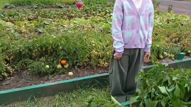 Четыре сезона.Выпуск седьмой.