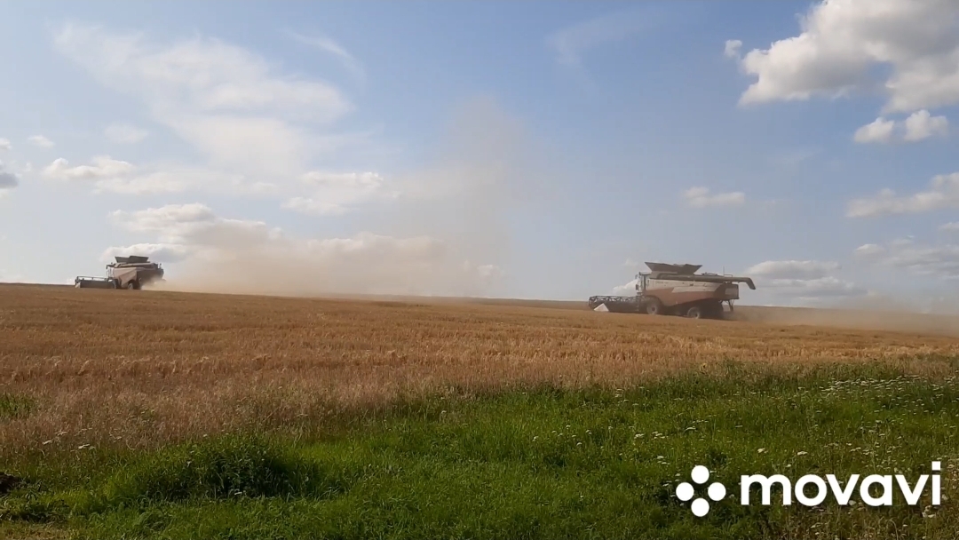 Один день - год кормит!/Уборочная страда/Красота родной природы смотреть онлайн