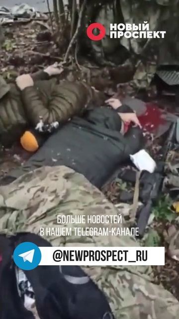 ФСБ задержала украинских диверсантов смотреть онлайн