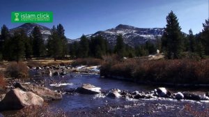 Сунны Зухра, Магриба и 'Иша намазов в пути. Пользы из Сахиха Муслима. Абу Яхья Крымский