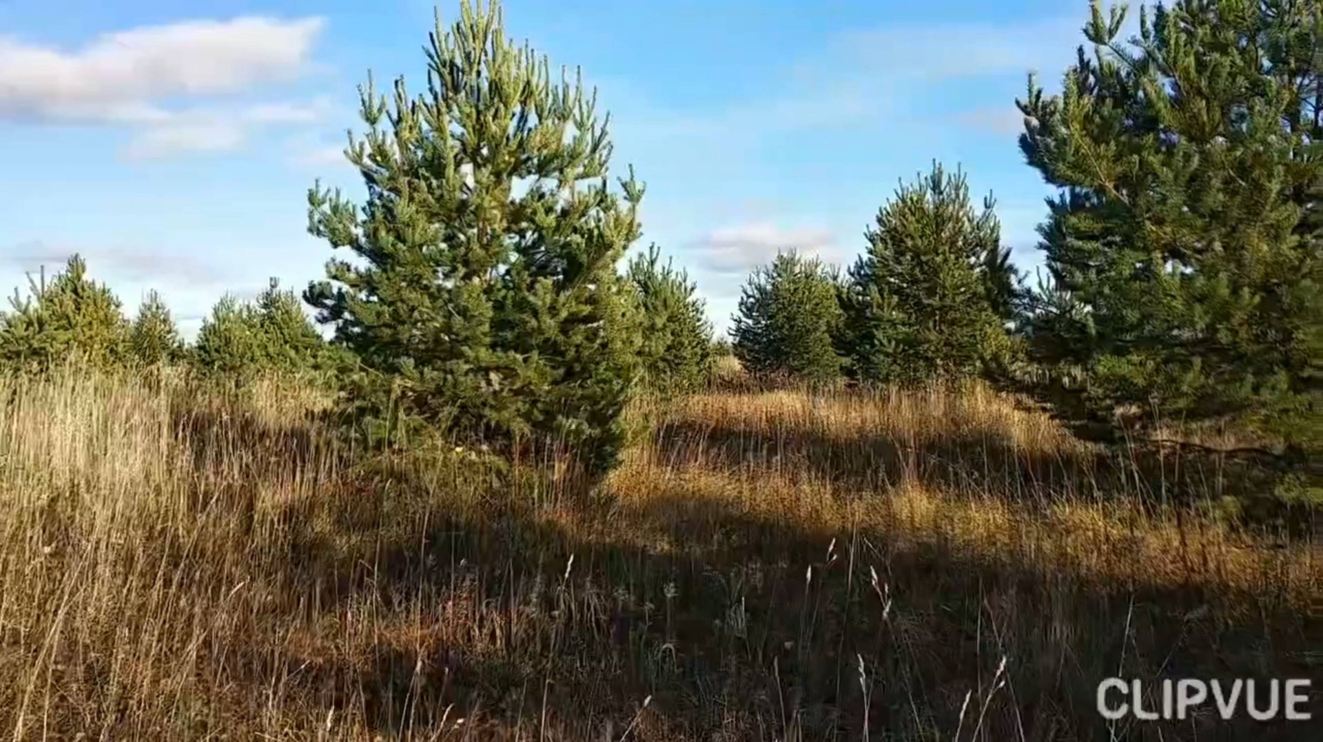 СКОРО ОСЕНЬ🍁🍂🍃, ГОСПОДА!