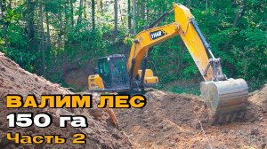 Преодолеваем овраг. Вырубка леса под аэропорт в г. Владимир