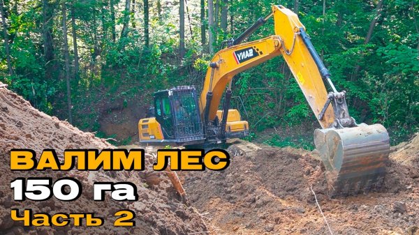 Преодолеваем овраг. Вырубка леса под аэропорт в г. Владимир