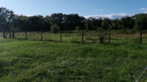 Delta Pulse глубинный металлоискатель, тест