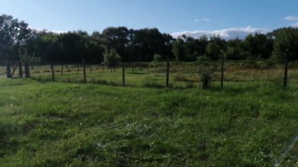 Delta Pulse глубинный металлоискатель, тест