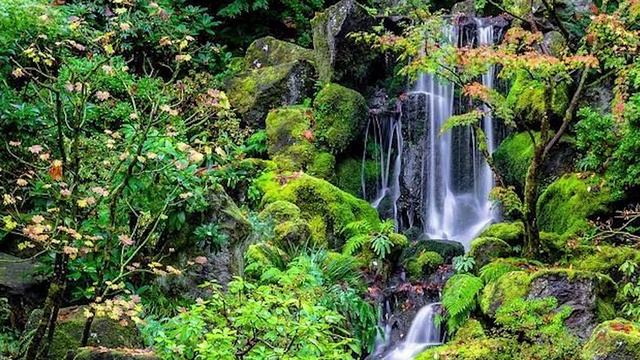 Слайдшоу mp4 смотреть онлайн