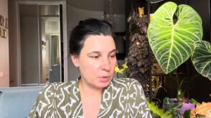 Агротехника алоказии Регал Шилдс