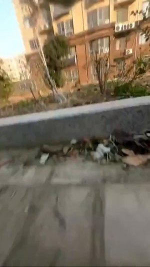 Всего одна минута из жизни уличного кота, а экшена и напряжения больше, чем во всех современных филь