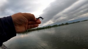 Рыбалка в дождь. Ловим Судака с НАВАХО Микро Джиг (Олта), 2.10м, 0.6-4г.