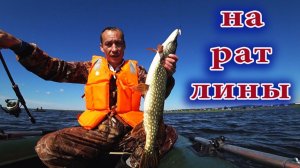 Ловля щуки на раттлины с лодки 🎣