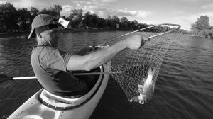 ВЫМИРАНИЕ. ЭТО РЕАЛЬНАЯ РЫБАЛКА В АСТРАХАНИ. САЗАН НА ЗАКИДУШКУ. "Сом - залом", крупный карась.