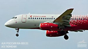 Что было в Шереметьево. Суперджет увидел птицу и на второй круг свалил.