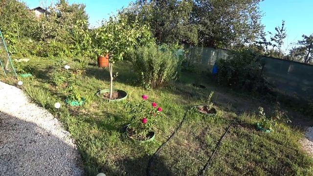 ВЛОГ : УЕХАЛА УБИРАТЬ ДАЧНЫЙ ДОМИК / ЗАКАЗАЛА КАНЦЕЛЯРИЮ