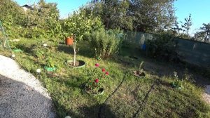 ВЛОГ : УЕХАЛА УБИРАТЬ ДАЧНЫЙ ДОМИК / ЗАКАЗАЛА КАНЦЕЛЯРИЮ