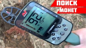 Поиск монет в поле и лесу — лучшие находки с металлоискателем