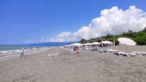 Абхазия Цитрусовый совхоз Пансионат Сосновая роща Лавр благородный Инжир 21 августа 2025 г.