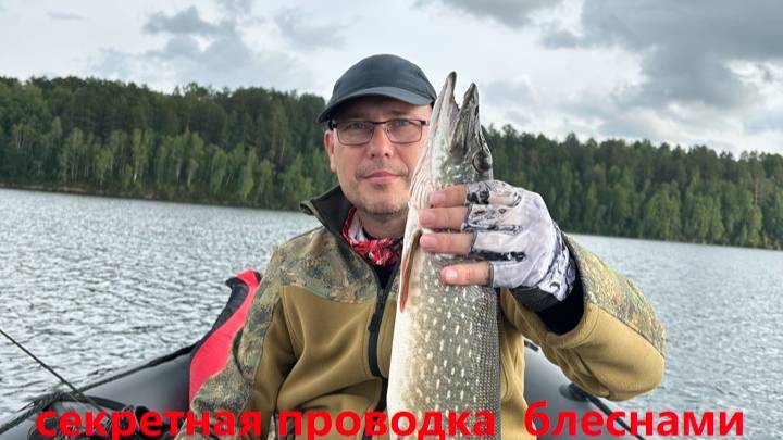 Блесна косят щуку.