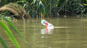 СУМАСШЕДШИЙ КЛЁВ САЗАНА НА БУТЫЛКИ! УЕХАЛИ С ОТЦОМ В САМЫЕ ДЕБРИ ВОЛЖСКОЙ ДЕЛЬТЫ. Утопил камеру.