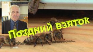 Научный взгляд на поздний взяток: отвечает профессор Кашковский