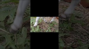 1 день глазами............