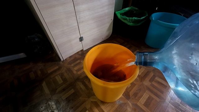 Грибы да рыба в дегидраторе.