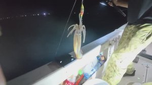 Рыбалка на кальмара во Владивостоке 20.08.2025