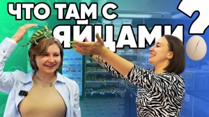 Террариумные новости ЭКЗОМЕНЮ (21.08.2025). Что там с ЯЙЦАМИ?