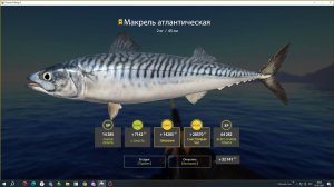 МОРСКАЯ РЫБАЛКА ДЛЯ НОВИЧКА, КАК ПРАВИЛЬНО ФАРМИТЬ СО СТАРТА НА МОРЕ В РУССКОЙ РЫБАЛКЕ 4 РР4