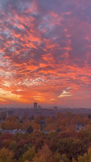 114612 смотреть онлайн