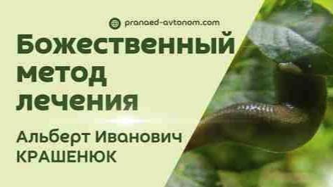 Пиявколечение. Божественный метод лечения. Метод хайтек.
